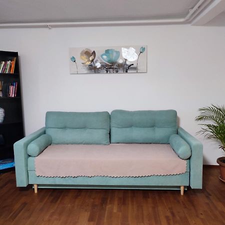 Gemuetliche Zwei-Zimmer-Wohnung Am Regnitzufer 巴姆贝格 外观 照片