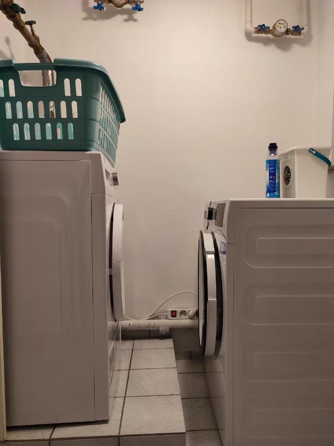 Gemuetliche Zwei-Zimmer-Wohnung Am Regnitzufer 巴姆贝格 外观 照片