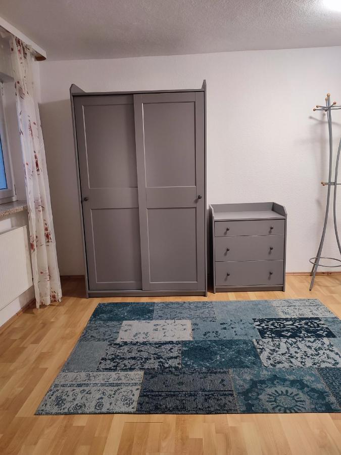 Gemuetliche Zwei-Zimmer-Wohnung Am Regnitzufer 巴姆贝格 外观 照片